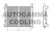 FIAT 7572592 Radiator, engine cooling